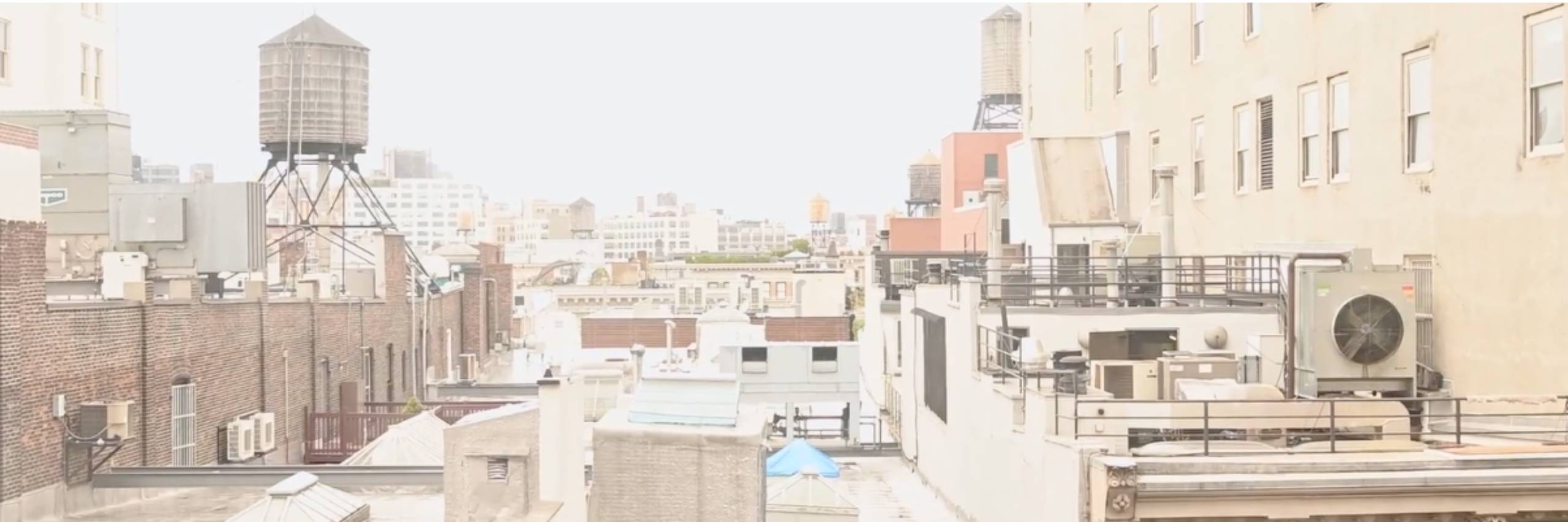 protection-orders-law